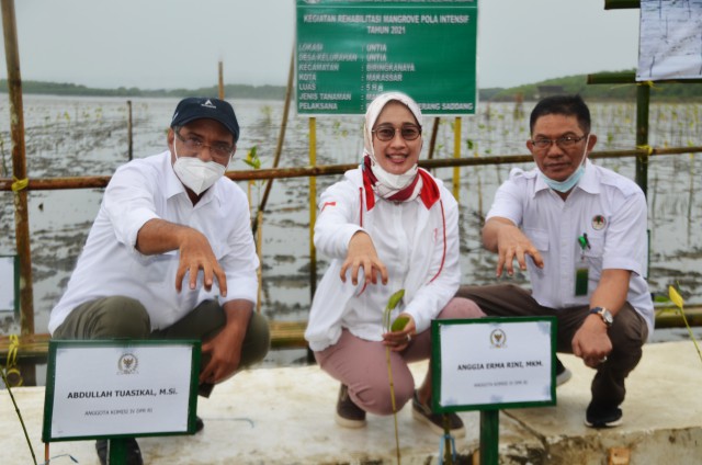 
					Wakil Ketua Komisi IV DPR RI Anggia Erma Rini usai menanam pohon mangrove di lokasi RHL Untia, Kota Makassar, Sulawesi Selatan, Kamis (14/10/2021). Foto: Nadia/Man