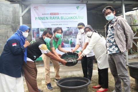 Dompet Dhuafa Banten Gelar Panen Raya Budikolbu Hasilkan 1,5 Ton Ikan Lele