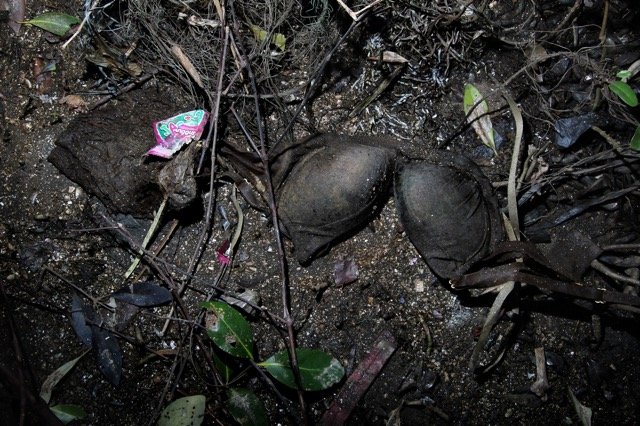 FOTO: Sampah Plastik di Hutan Manggrove Pantai Marunda