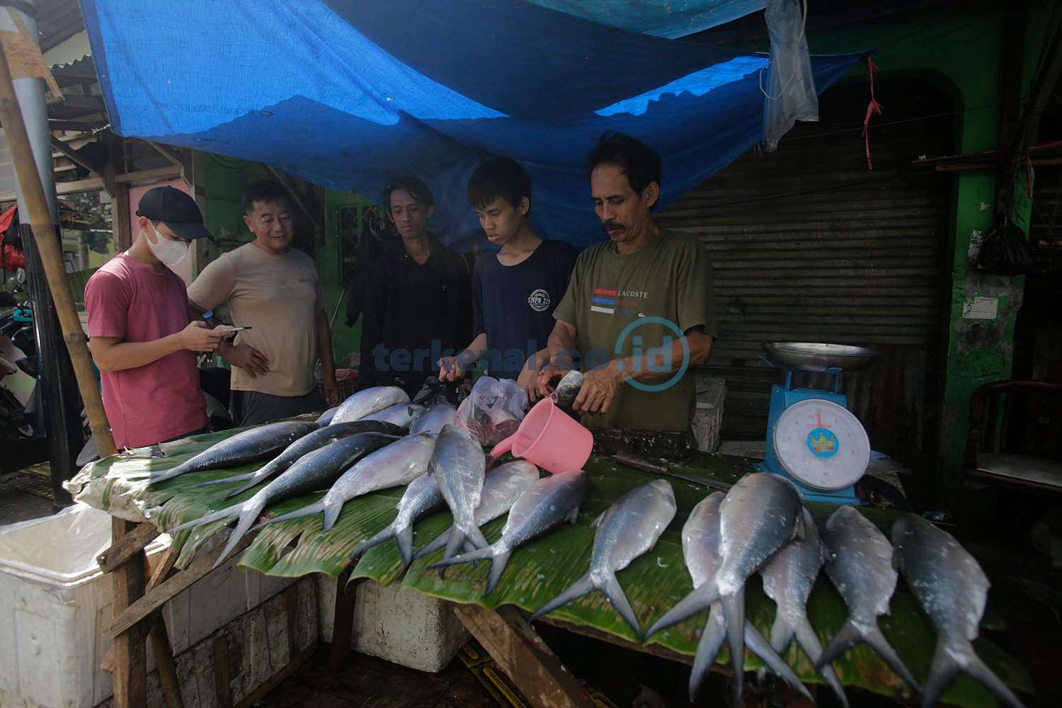 Pedagang Ikan Bandeng 3