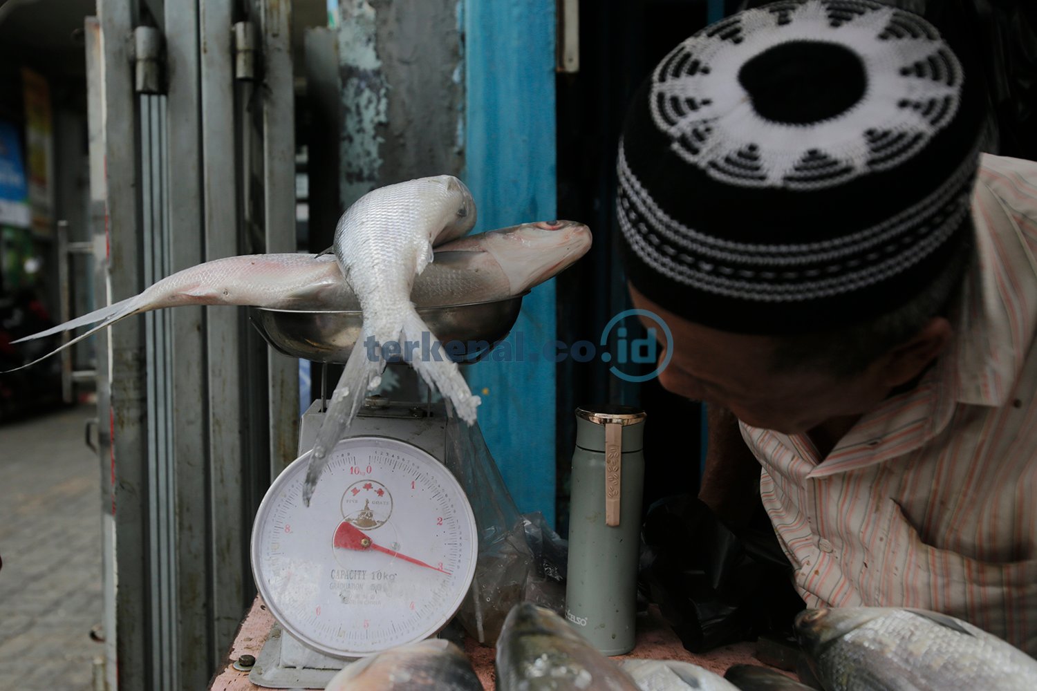 Pedagang Ikan Bandeng 4