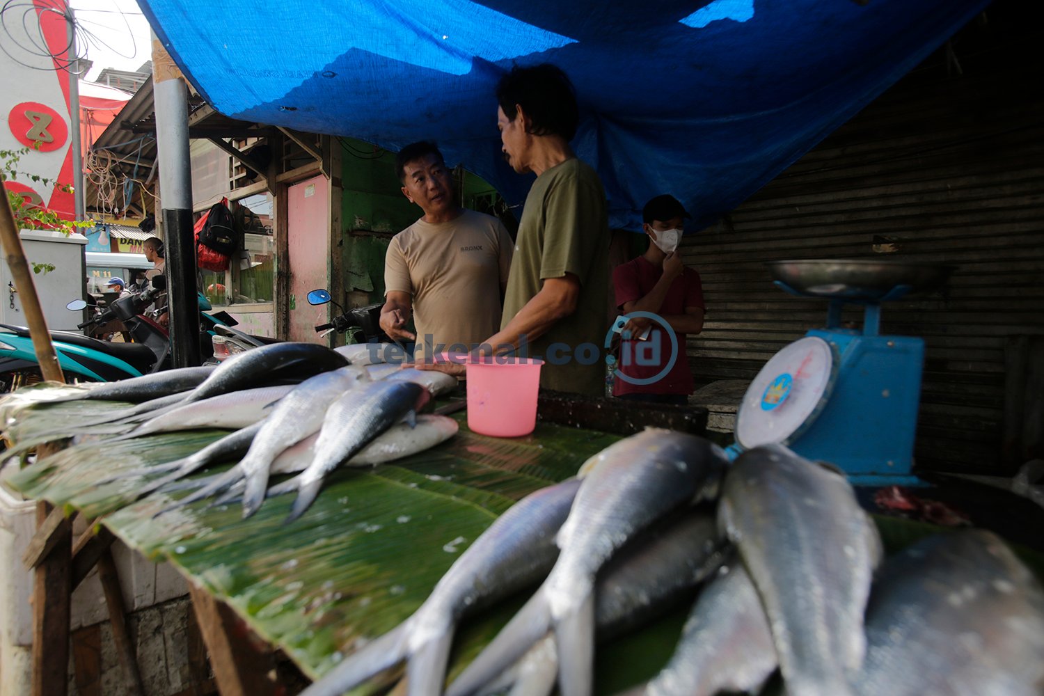 Pedagang Ikan Bandeng 5