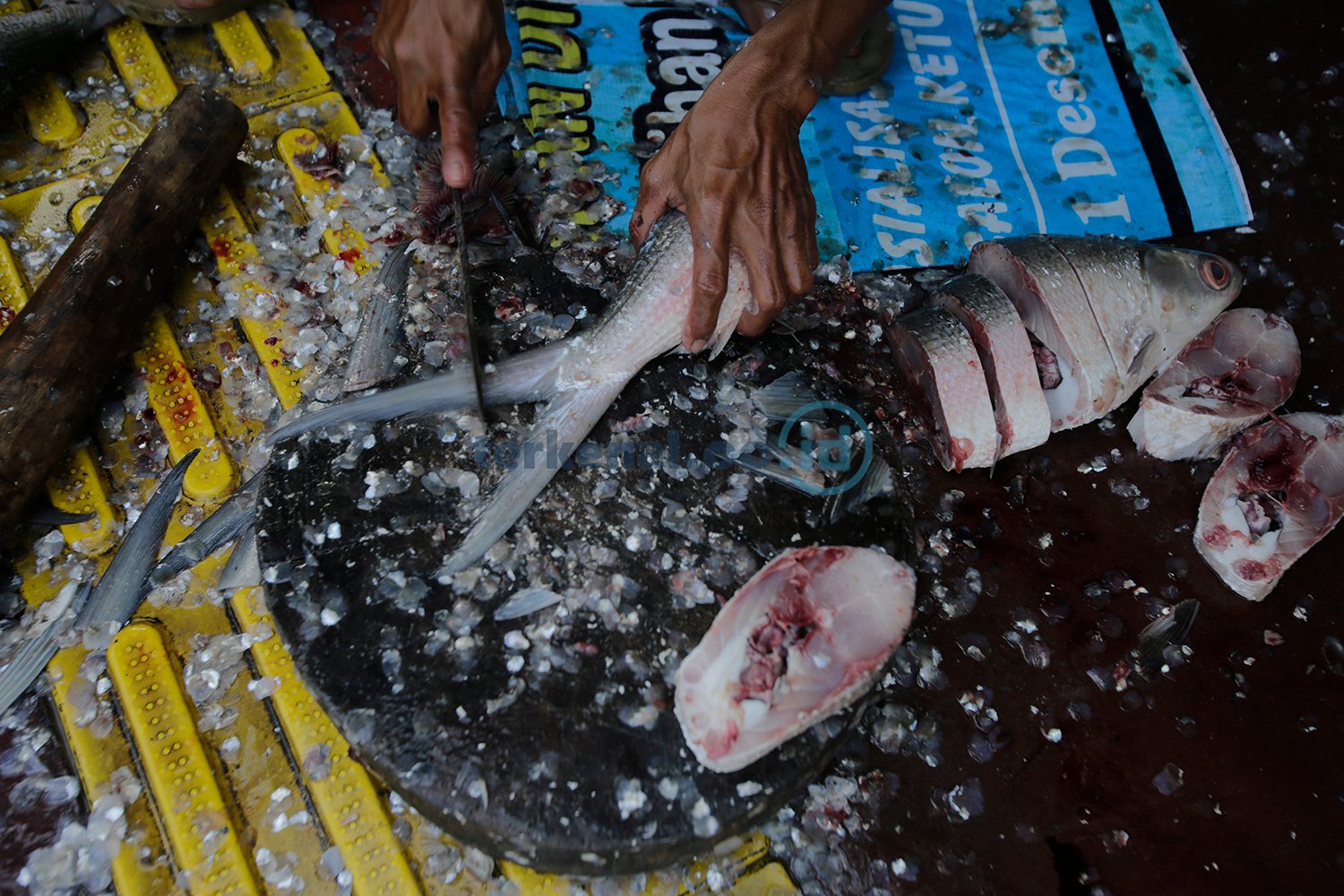 Pedagang Ikan Bandeng 6