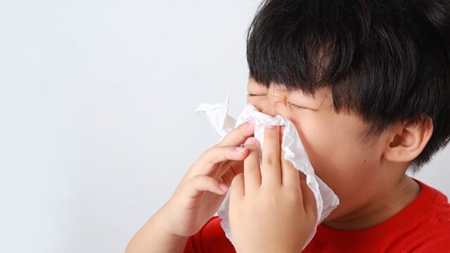 Flu Singapura 2