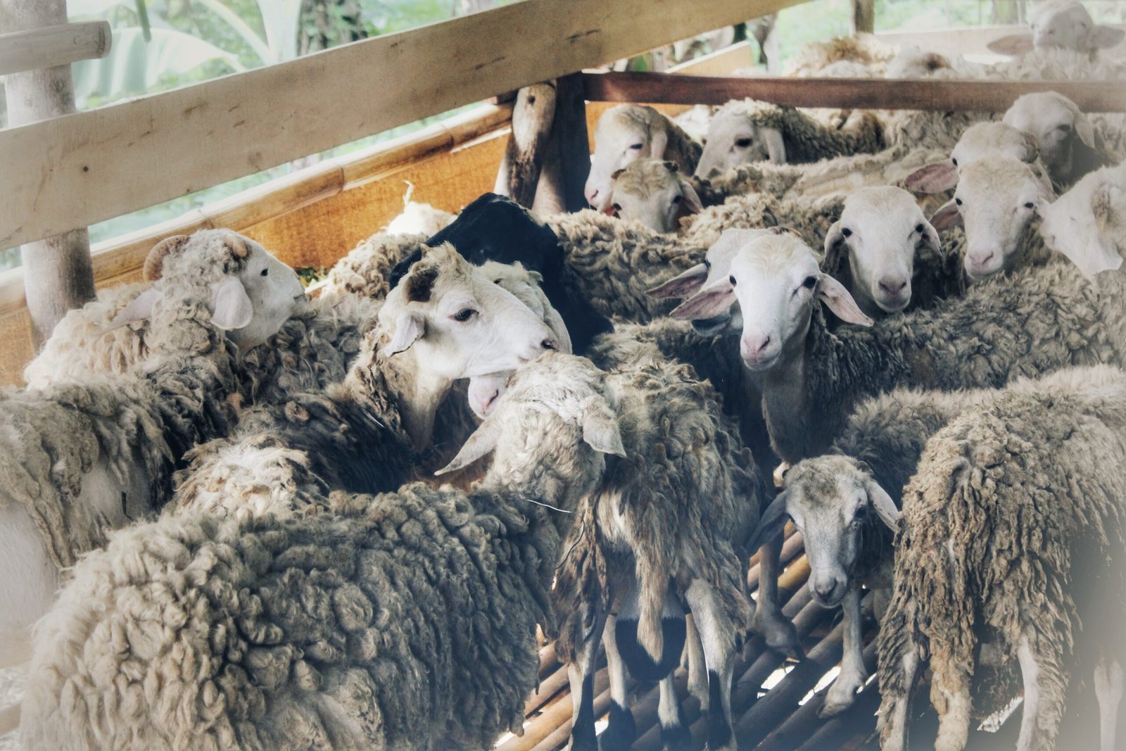 IMG 20240605 232238 640 scaled