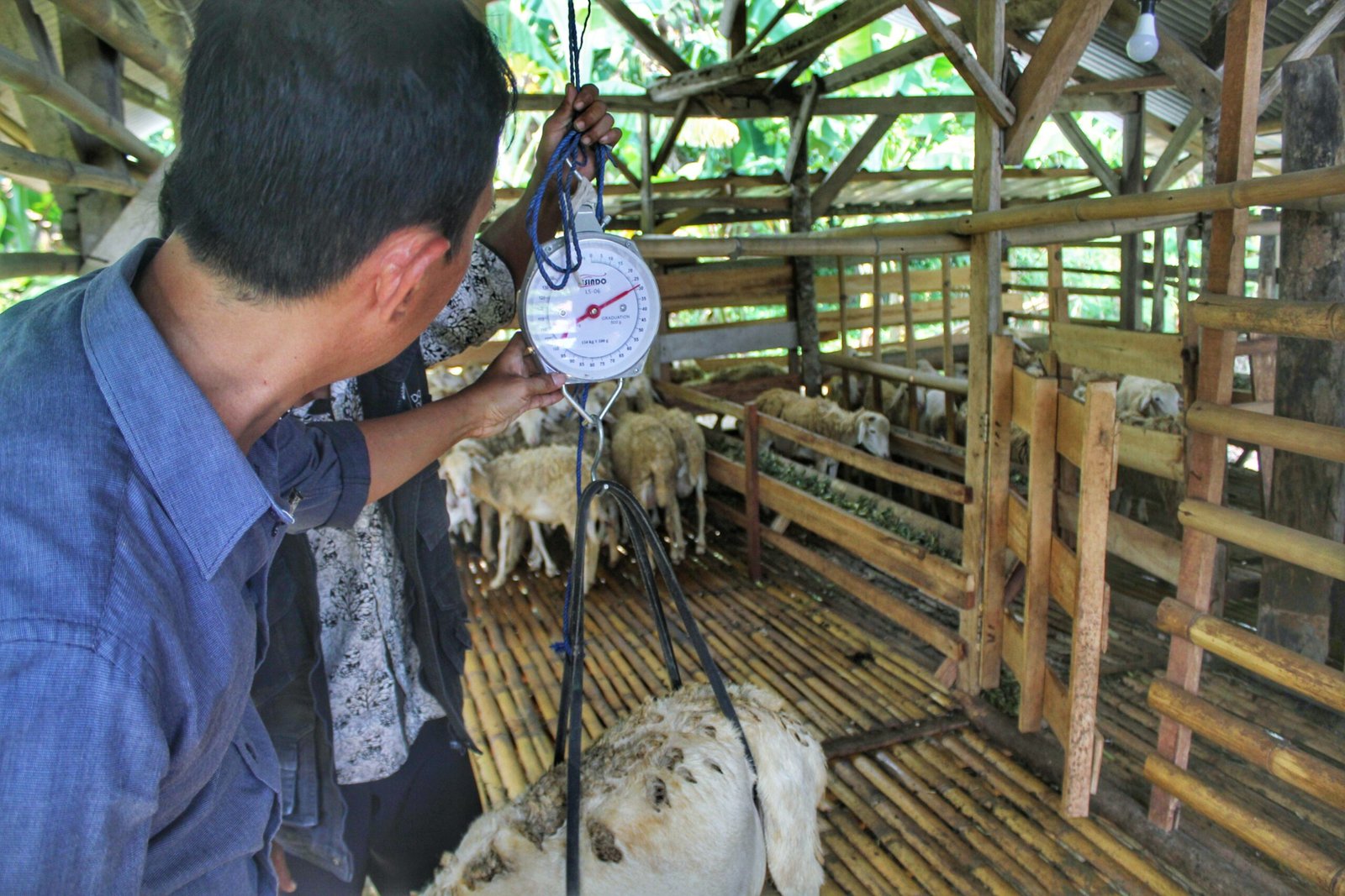 IMG 20240605 232238 649 scaled