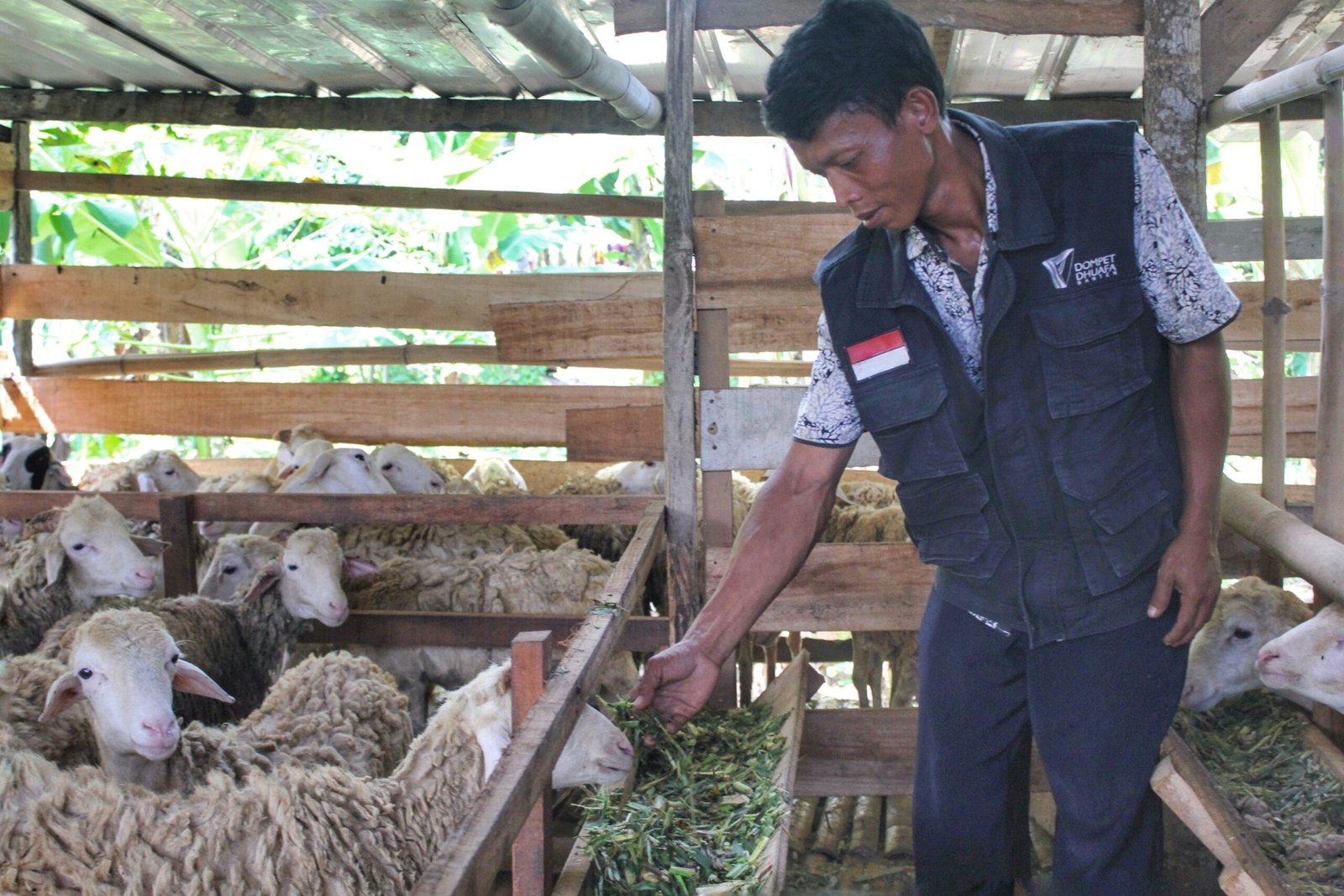 IMG 20240605 232238 664 scaled