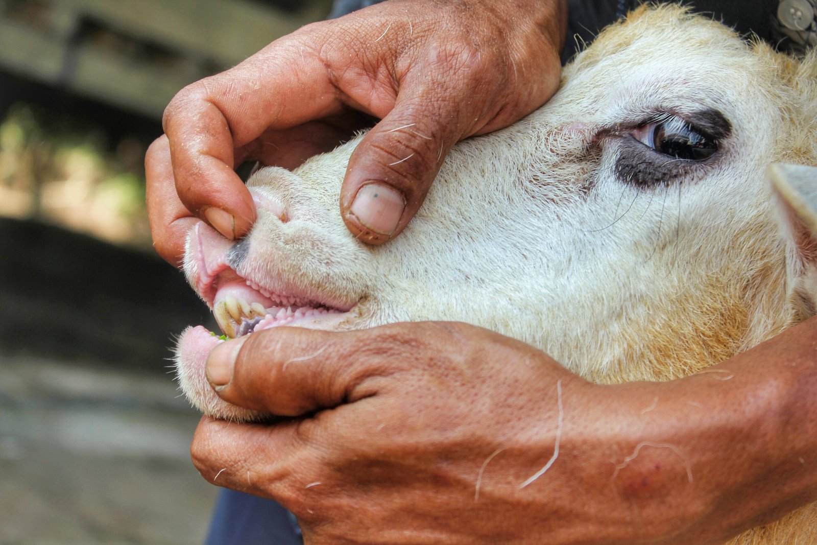 IMG 20240605 232238 671 scaled