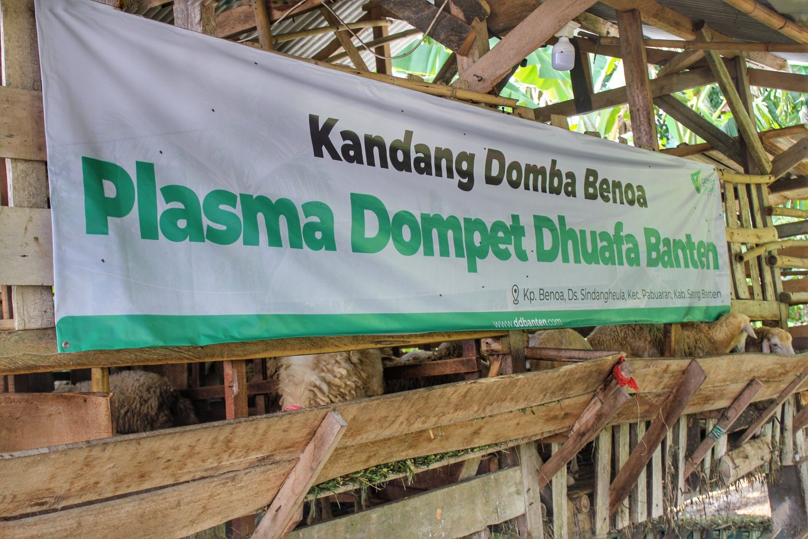 IMG 20240605 232238 678 scaled