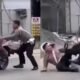 Viral! Pemotor Nekat Tabrak Polisi di Lampu Merah Kalimantan Timur