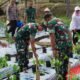 Mantap! Koramil 03/Tj. Priok Luncurkan Program Urban Farming