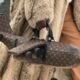Viral! Tas Tangan Louis Vuitton Jadi Perhatian Publik