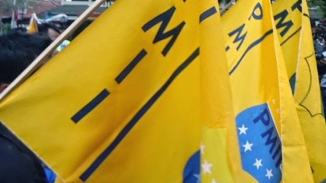 bendera pmii
