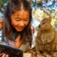 Simak! Ini 7 Destinasi Wisata Ikonik di Australia Barat  yang Cocok Menjadi Tempat Berlibur