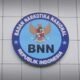 BNN menolak revisi KUHAP