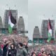 Thousands of Pro-Palestinian Australians Protest on Sydney Bridge