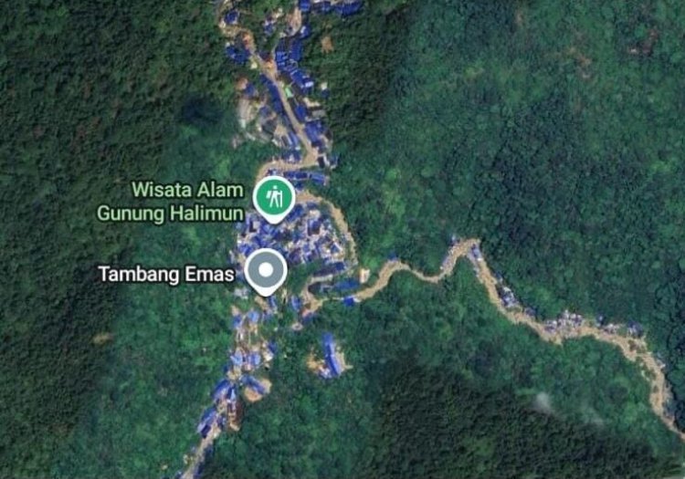 Kawasan Gunung Halimun dikelilingi ratusan tenda penambang emas ilegal Kawasan Gunung Halimun dikelilingi ratusan tenda penambang emas ilegal