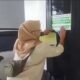 Penerima Bansos di Bogor Kedapatan Miliki Mobil Mewah, Video Viral