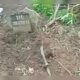Puluhan Makam di TPU Giripurno Batu Diduga Dirusak, Warga Tuntut Penjelasan