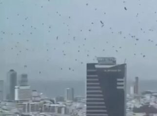 Ribuan Burung Gagak Kepung Gedung di Tel Aviv Israel Ribuan Burung Gagak Kepung Gedung di Tel Aviv Israel