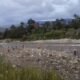 Konflik Suku Kembali Pecah di Wamena Papua Konflik Suku Kembali Pecah di Wamena Papua