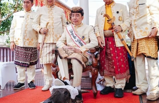PDIP soal Aksi Jokowi: Itu Kepala Kerbau, Bukan Banteng PDIP soal Aksi Jokowi: Itu Kepala Kerbau, Bukan Banteng